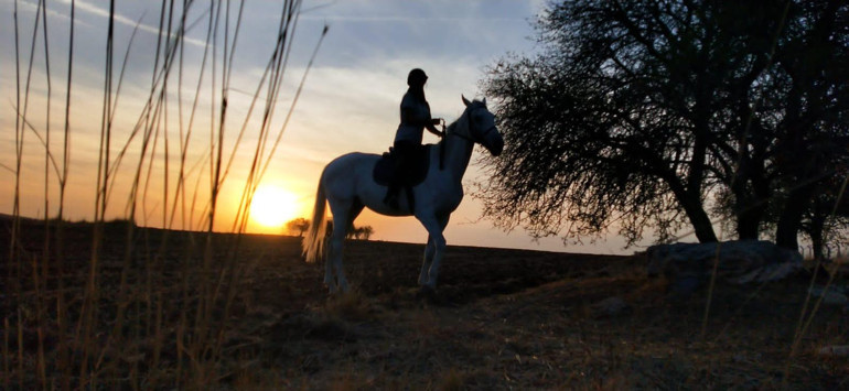 At üstünde doğa keyfi