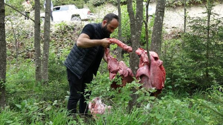 Ağaçlara asılan sakatat görenleri şaşırtmıştı Prof. Dr. Şağdan Başkayadan çok önemli uyarı