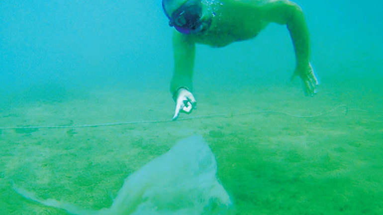 Müsilaj çalıştayı yapıldı... ‘Foseptik gibi kullanmışız’