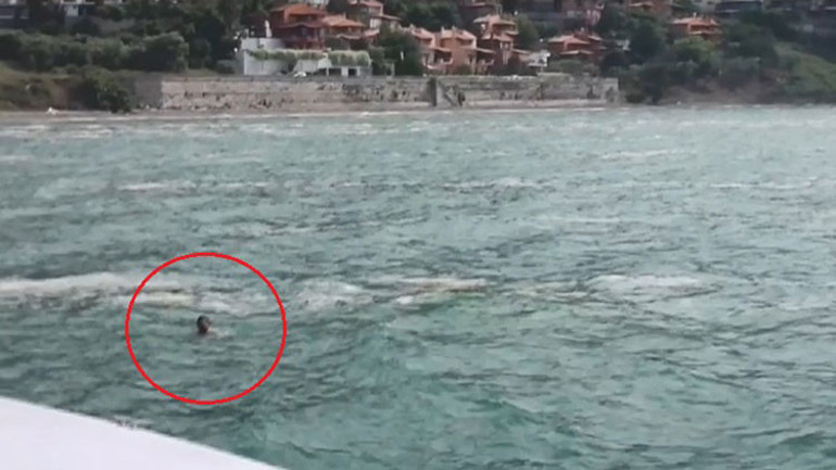 Marmara Denizinde müsilaj istilasındaki sularda can pazarı