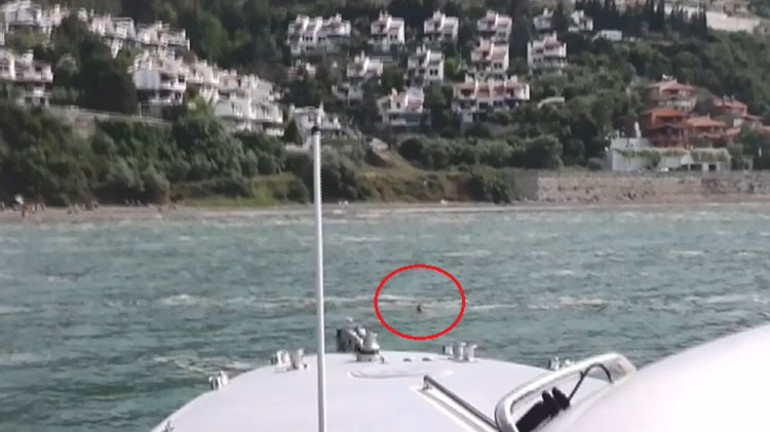 Marmara Denizinde müsilaj istilasındaki sularda can pazarı