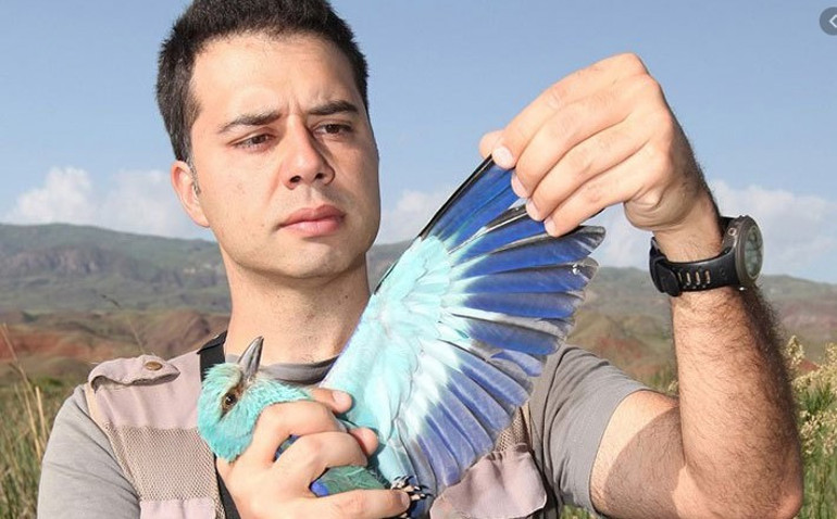 Bu haberden sonra kimse kimseye ‘kuş beyinli’ diye hakaret edemeyecek