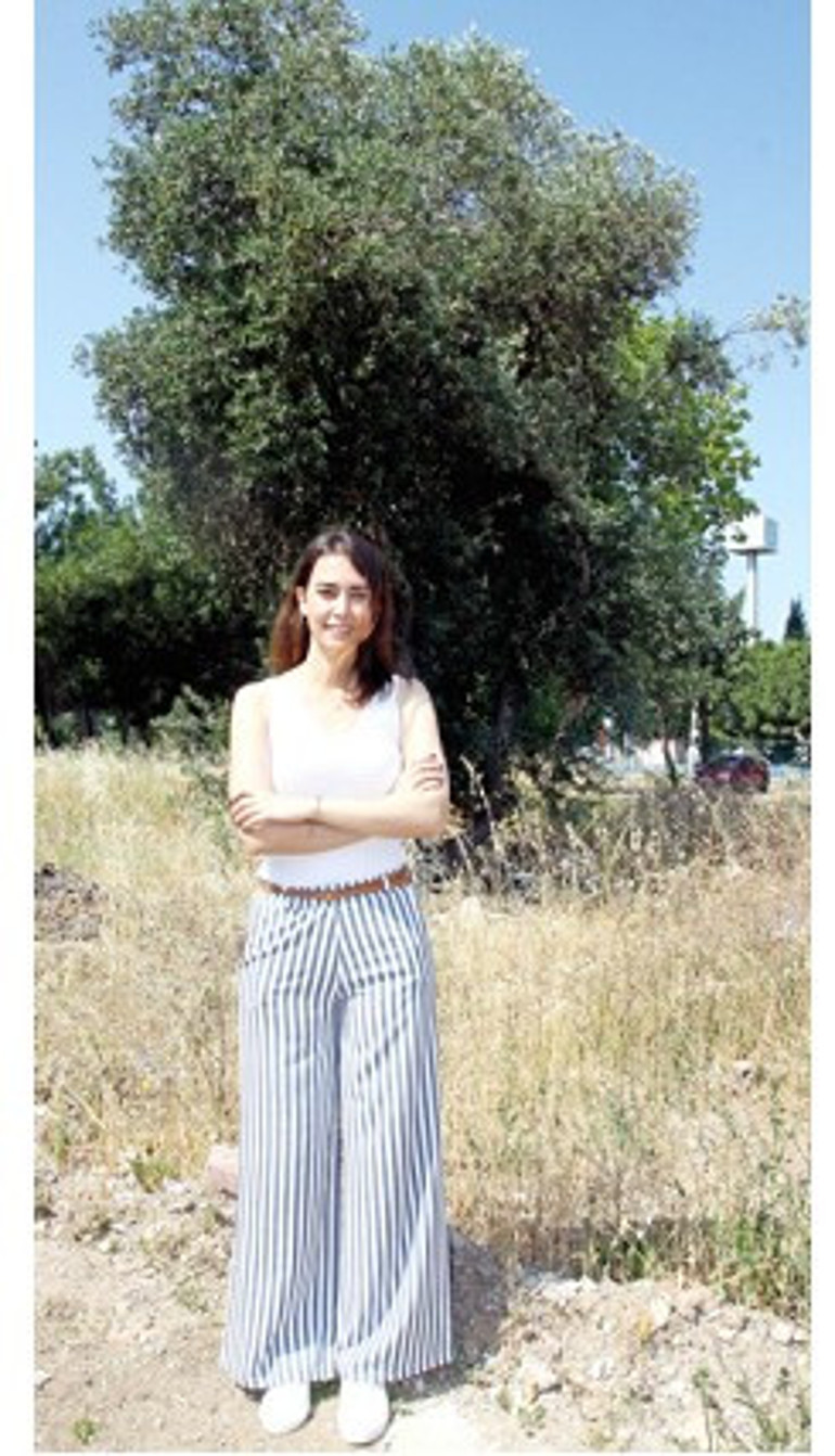 Zeytinin tozunu çıkardı