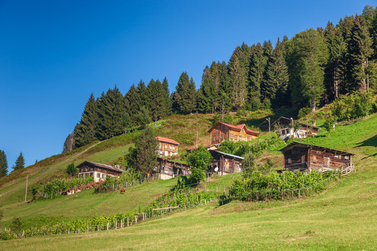 Hem uygun, hem sakin...  5 bölge ve 14 şehirden harika 22 yayla tatili...