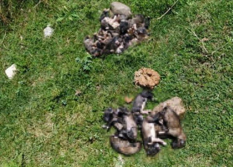 Denizlide isyan ettiren olay... Bunu yapan insanlıktan çıkmıştır