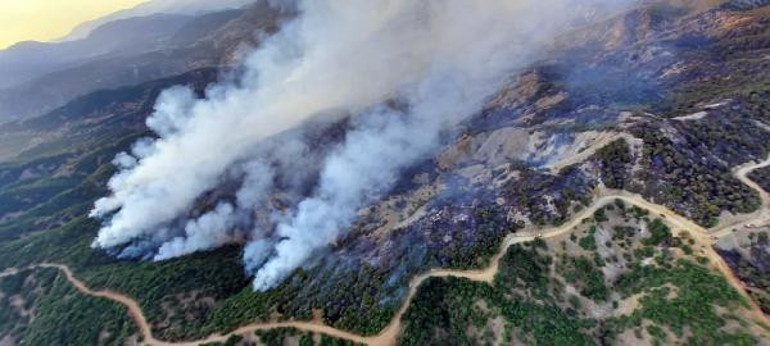 Bingölde 3 gündür devam eden yangına müdahale ediliyor