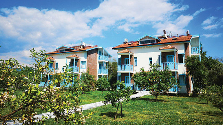 Tatile çıkmak can dostlarımızın da hakkı