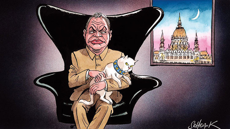 Aramıza giren kara kedi için ilgili herkese teşekkür ilanı