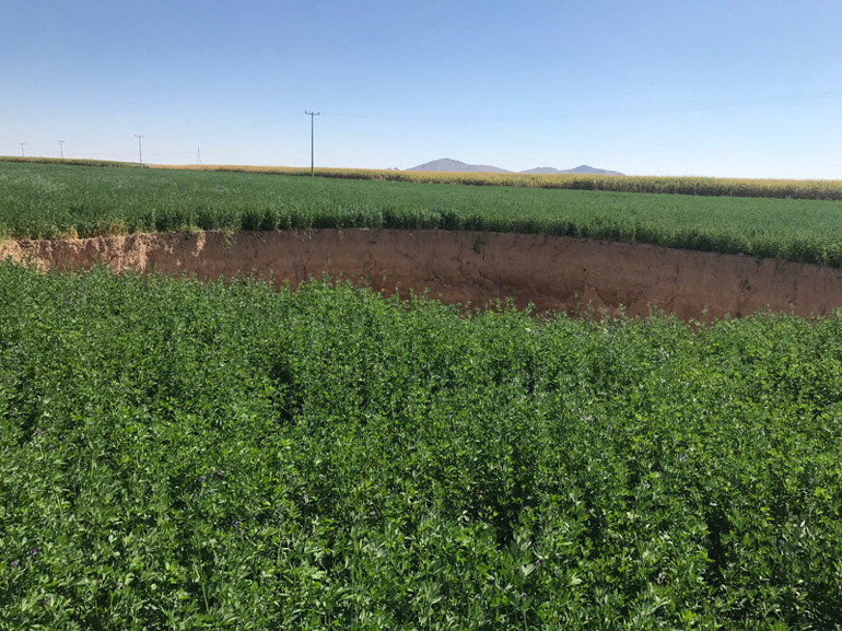Traktör bir anda ortadan kayboldu... Görünüşlerine aldanmayın, facia Geliyorum diyor