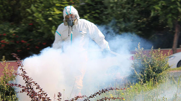 İstanbul sivrilerin buluşma noktası oldu İşte sivrisinekten korunma kılavuzu...