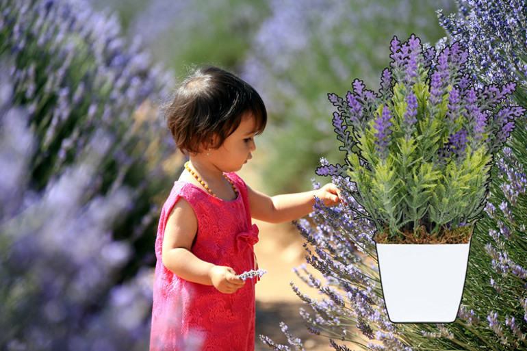İstanbul sivrilerin buluşma noktası oldu İşte sivrisinekten korunma kılavuzu...