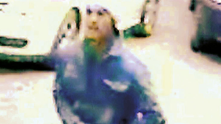 4 bin 532 sayfalık gerekçe: Adım adım öldürdüler