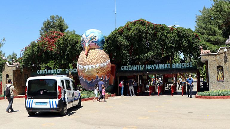 Son dakika: Gaziantepte hayvanat bahçesinde aslan bakıcısını yaraladı...