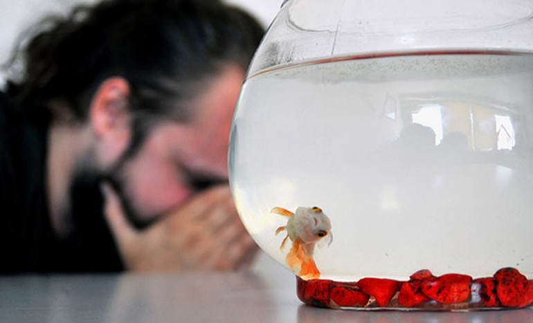 Süs balığı felaketi Heves kaçınca atılıyor, bakın neye yol açıyor...