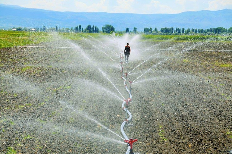 Flamingolara ağlarken... Tarihi tablo çok daha korkunç...