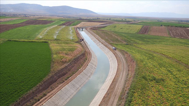 Flamingolara ağlarken... Tarihi tablo çok daha korkunç...