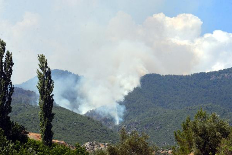 Son dakika... Hatayın Hassa ilçesindeki yangın iki gündür devam ediyor