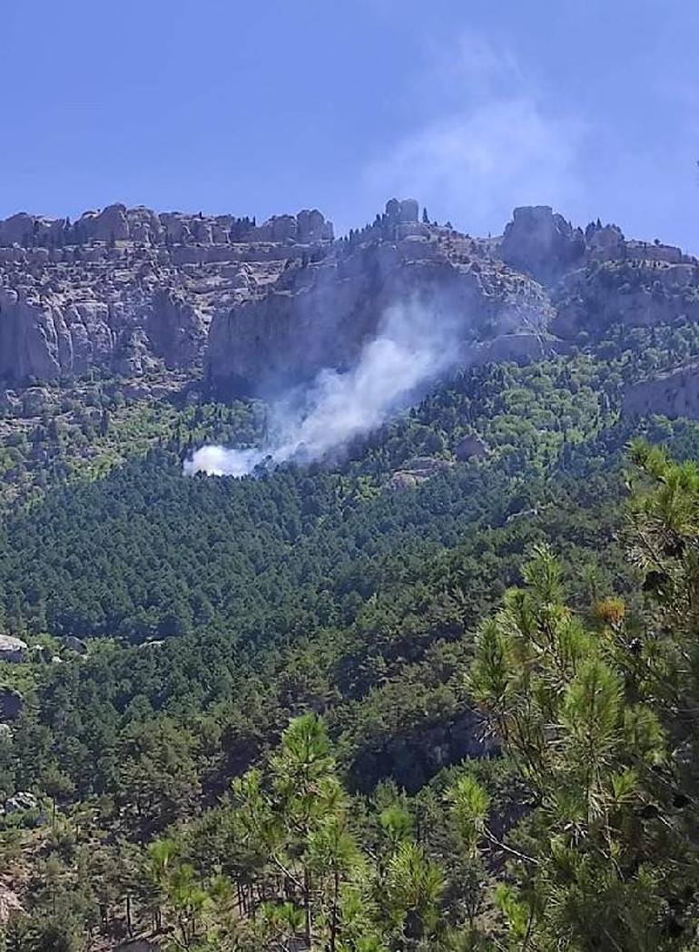 Son dakika... Adana Fekede orman yangını