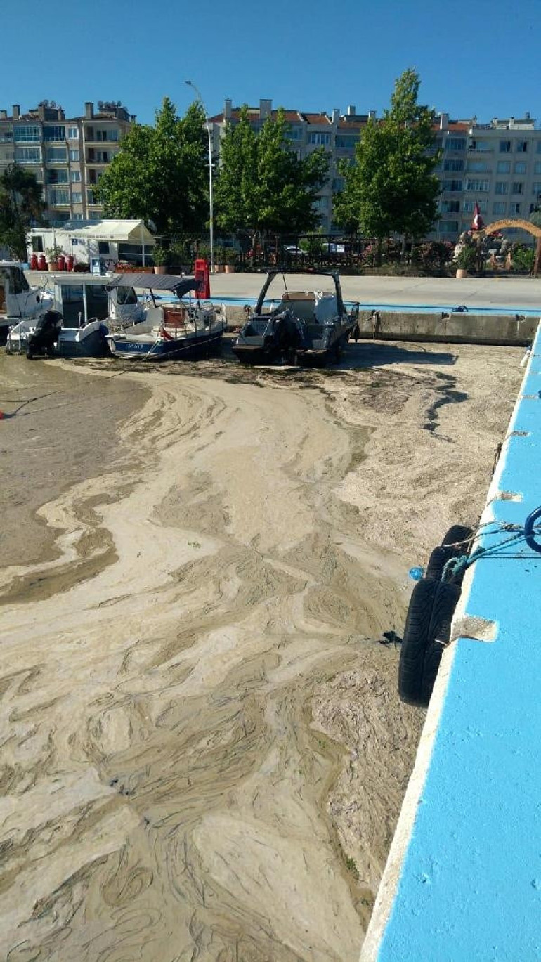 Çevre ve Şehircilik Bakanlığı çalışma başlattı Kamu kurumlarında zorunlu hale gelecek