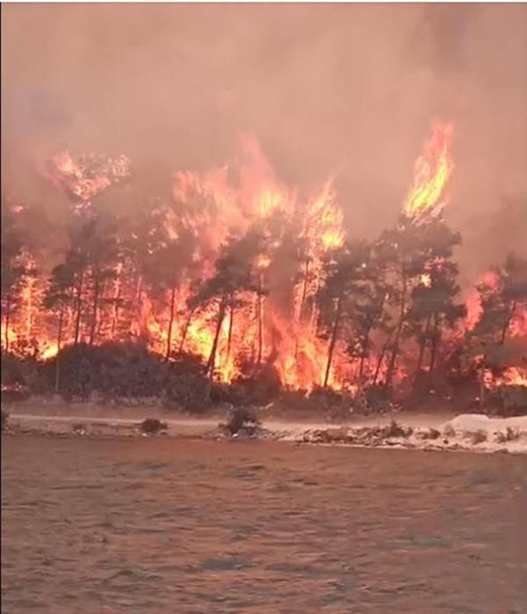 Son dakika haberi... Bodrum - Milas sınırındaki yangın kontrol altına alındı