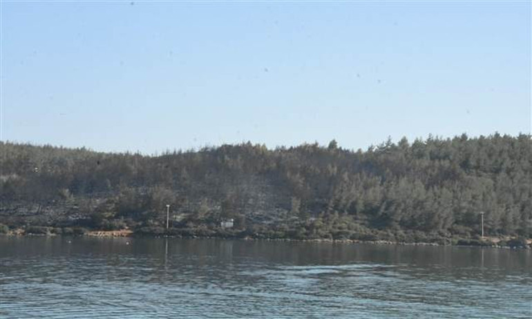 Son dakika: İşte Bodrumdaki yangının acı bilançosu... Yanan alan havadan görüntülendi: Tamamen kül oldu