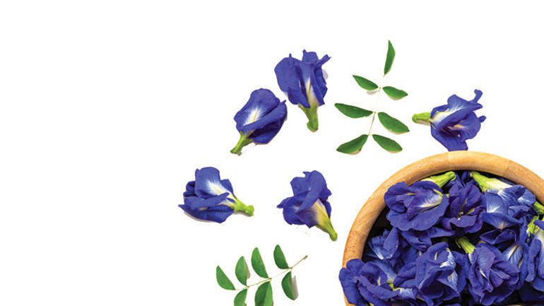 Yeni gözdemiz; mavi çay