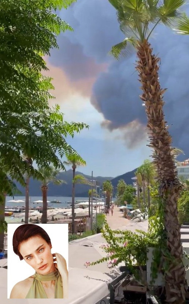 Ciğerlerimiz yanıyor: Tuğba Özay tayına ağladı, Şahan Gökbakarın evi risk altında... Ünlü isimler TEMAyı bağış yağmuruna tuttu