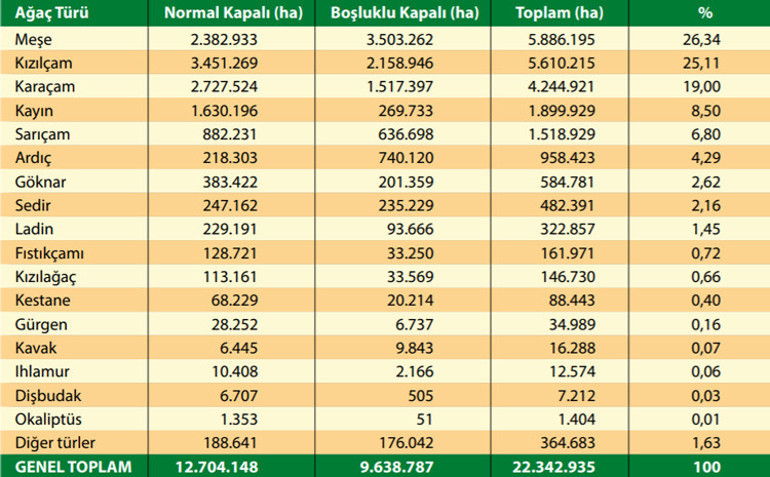 Uzmanlardan yeniden yeşillendirme uyarısı: Aman kaş yapayım derken göz çıkarmayalım