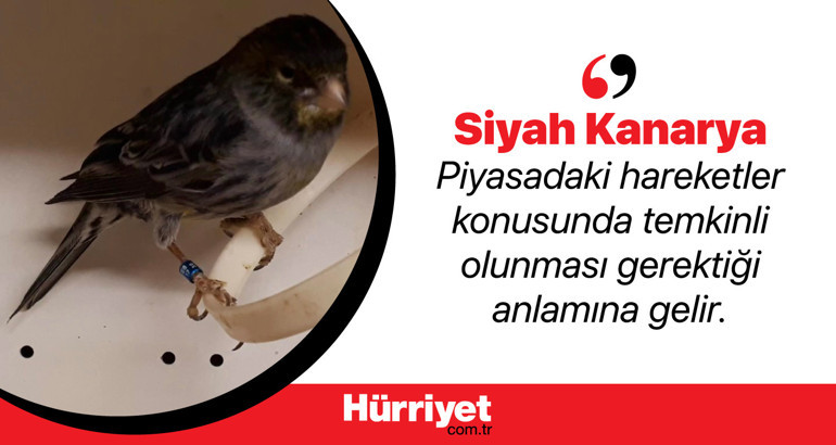 Ekonomide kullanılan hayvan sembolleri ne anlama geliyor