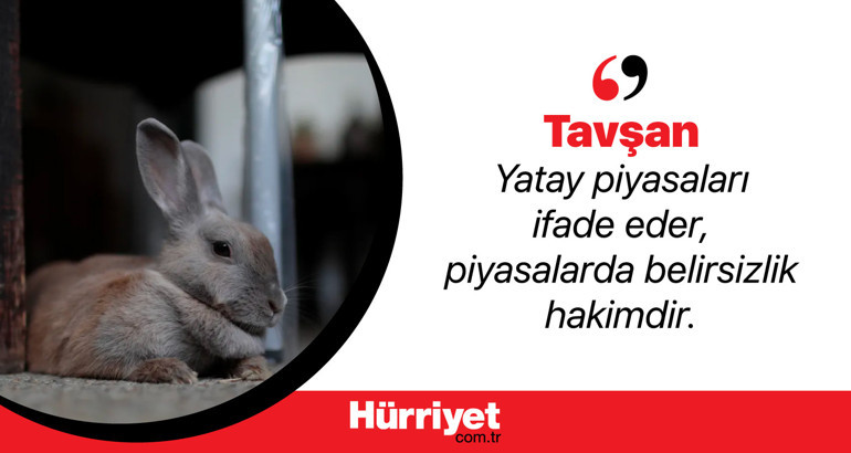 Ekonomide kullanılan hayvan sembolleri ne anlama geliyor