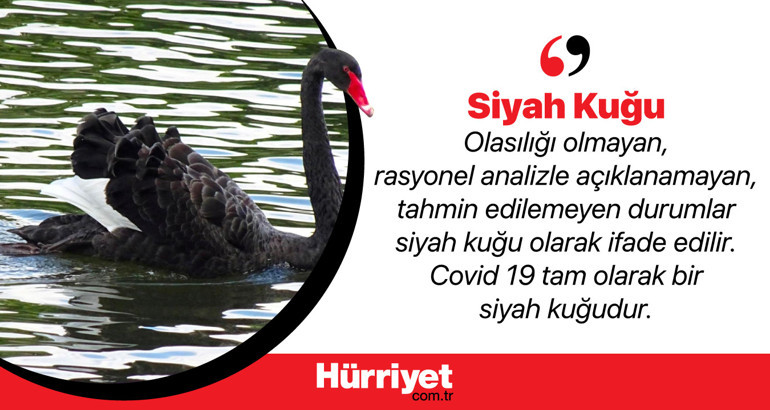 Ekonomide kullanılan hayvan sembolleri ne anlama geliyor