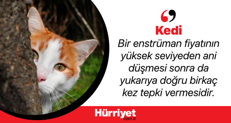 Ekonomide kullanılan hayvan sembolleri ne anlama geliyor