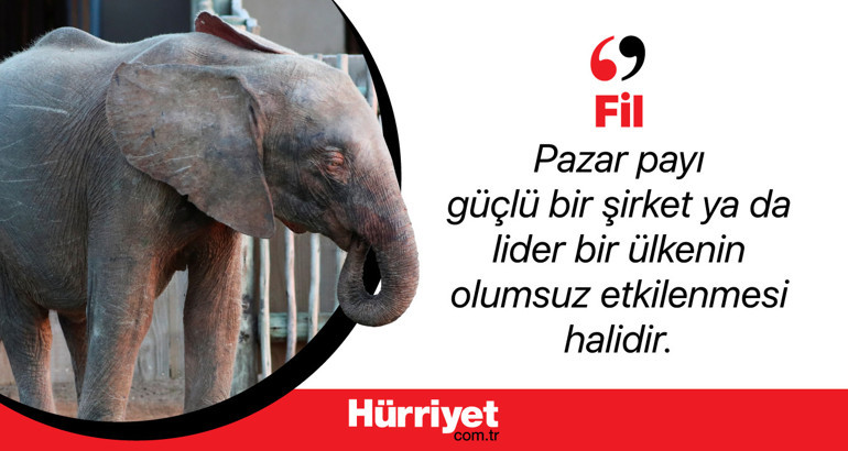 Ekonomide kullanılan hayvan sembolleri ne anlama geliyor