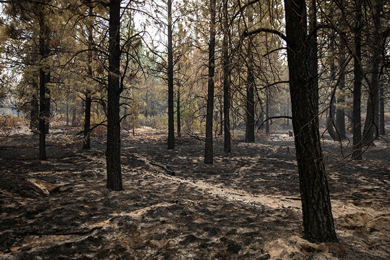 Atom bombası gibi görünüyordu... ABDde itfaiyeci kendi evini kurtaramadı