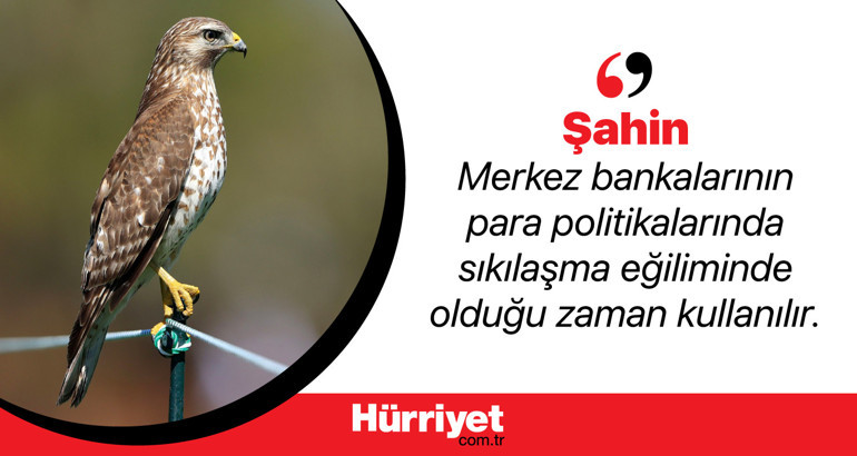 Ekonomide kullanılan hayvan sembolleri ne anlama geliyor