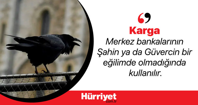 Ekonomide kullanılan hayvan sembolleri ne anlama geliyor