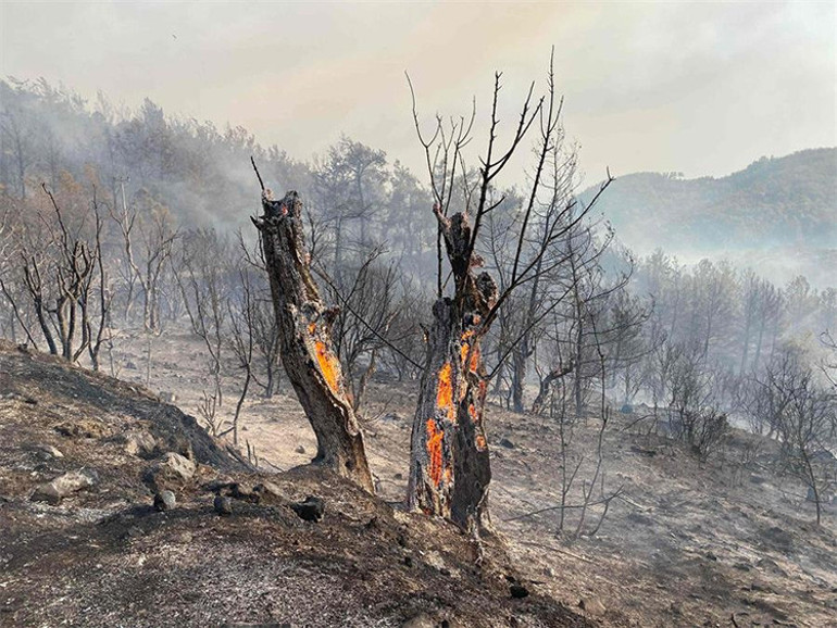 Nereye gidiyor, neye yol açıyor İki zıt sonucu var... Orman yangınlarında duman tehdidi