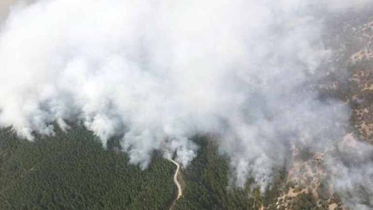 Son dakika yangın haberleri... Antalya, Milas, Manavgat, Marmaris, Köyceğiz... Mücadele sürüyor: İnsanüstü gayret var...