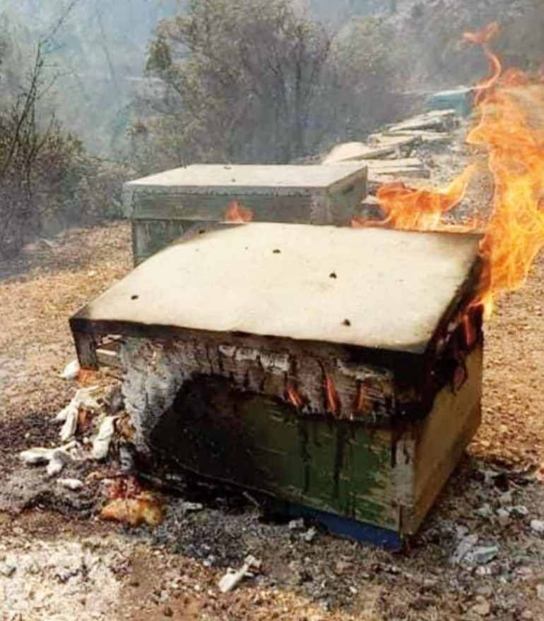 Doğanın gerçekleriyle ezberimizdekiler farklı
