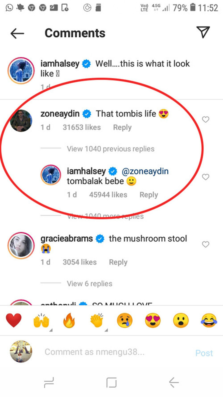 Halsey, Türkçeyi ilerletti: Tombalak bebe