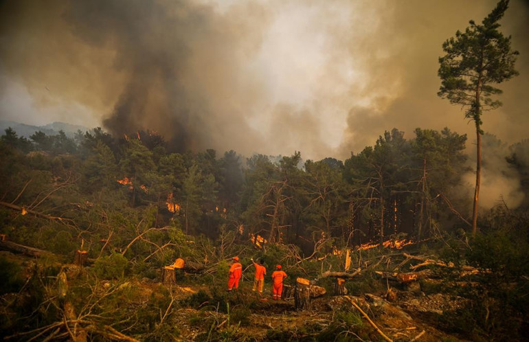 Tanık olduğum en büyük dehşet