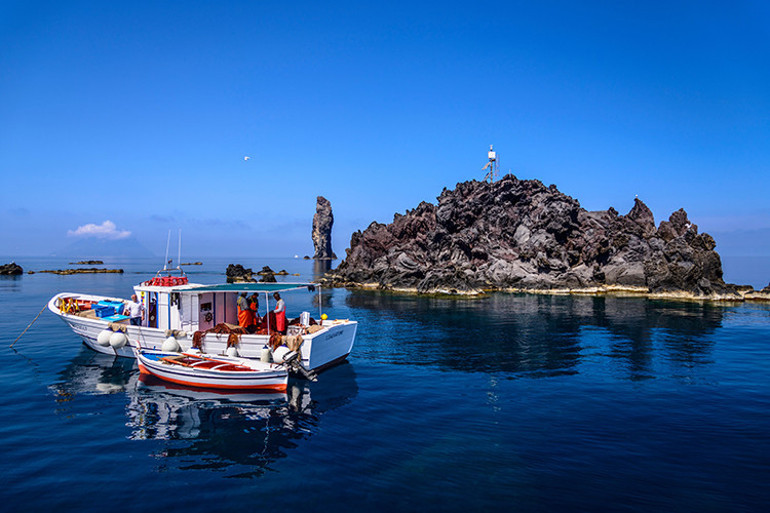 Bekarlar eş bulmak, evliler çocuk sahibi olmak için geliyor