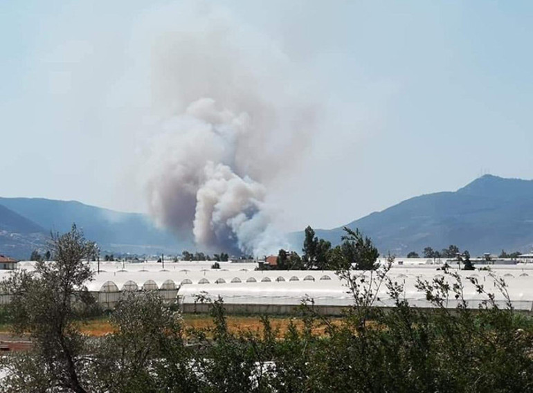Son dakika... Antalyanın Kaş ilçesinde sazlık alanda yangın