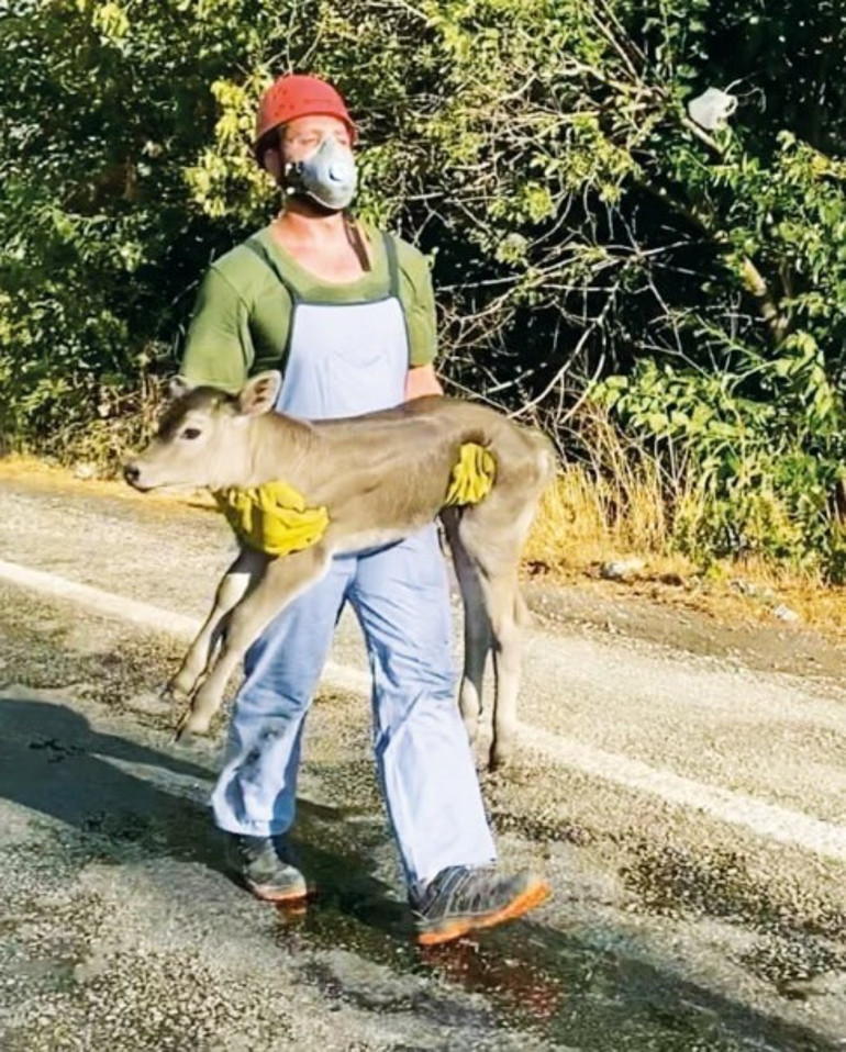 Herkesin ‘dijital minimalizm’i kendine göre