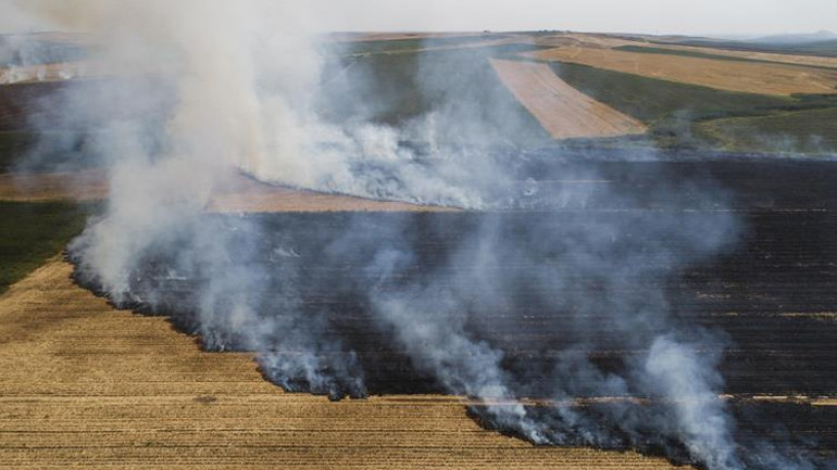 İklim krizinin öteki yüzü: Tarlalar kırmızı alarm veriyor