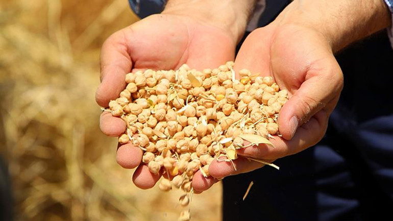 İklim krizinin öteki yüzü: Tarlalar kırmızı alarm veriyor