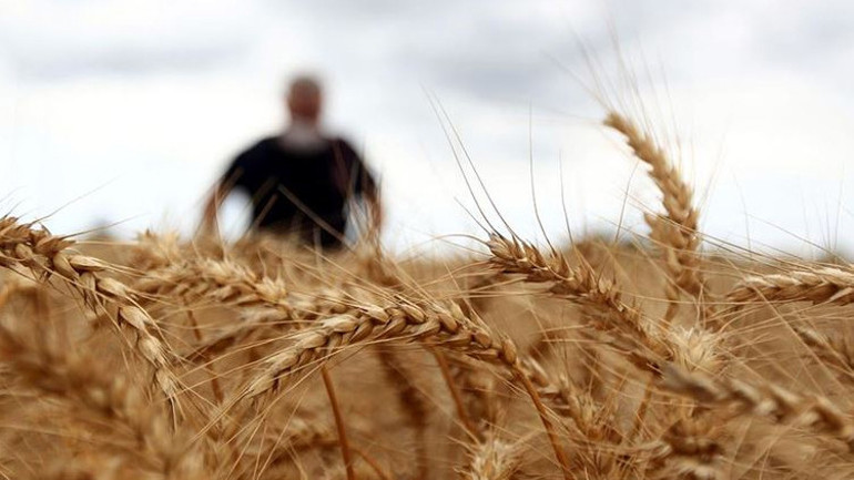 İklim krizinin öteki yüzü: Tarlalar kırmızı alarm veriyor
