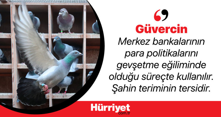 Ekonomide kullanılan hayvan sembolleri ne anlama geliyor