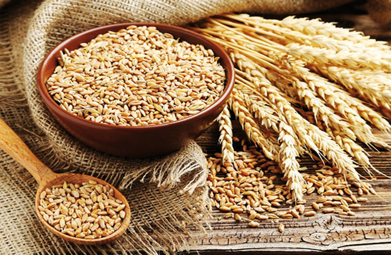 Yumurta kabuğundan kaşık olur mu Sıçandişi mi doğradık, piyazlık mı