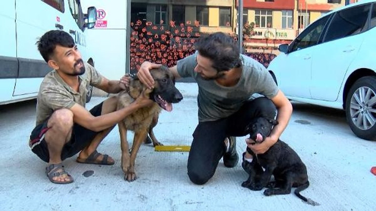 Son dakika... İstanbulda alevlerle 8 saatlik savaş Bilanço gün ağarınca ortaya çıktı